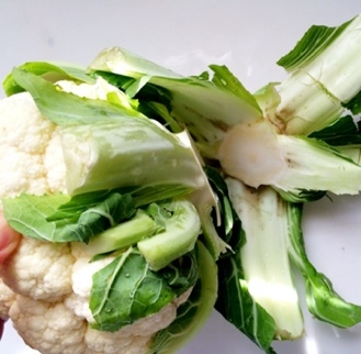 Removing the cauliflower stem